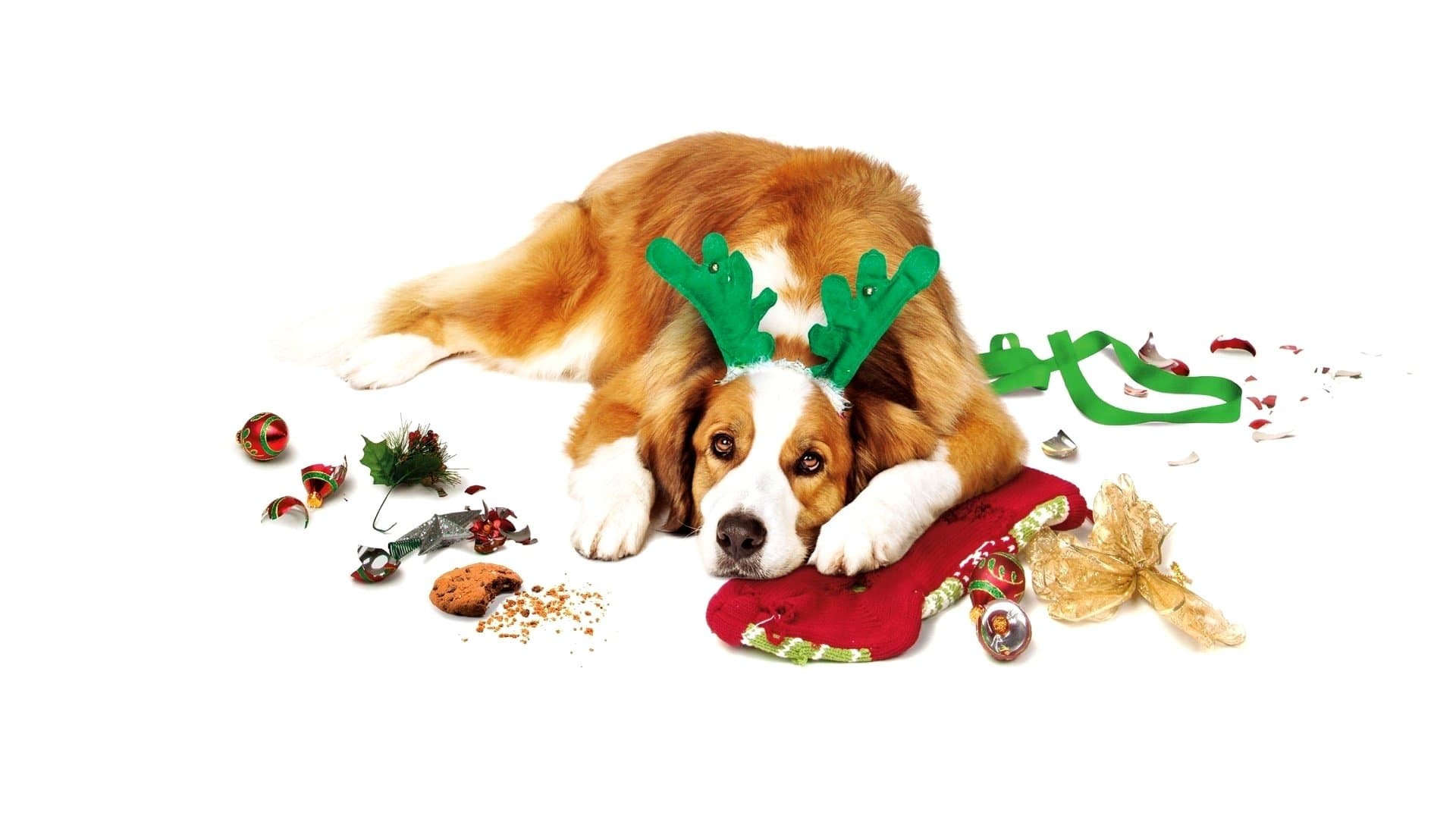 O Natal dos Coopers