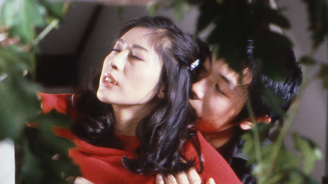 美姉妹 犯す