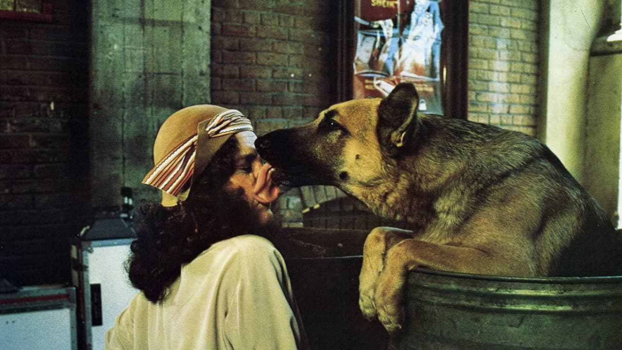 Won Ton Ton - O Cachorro Que Salvou Hollywood