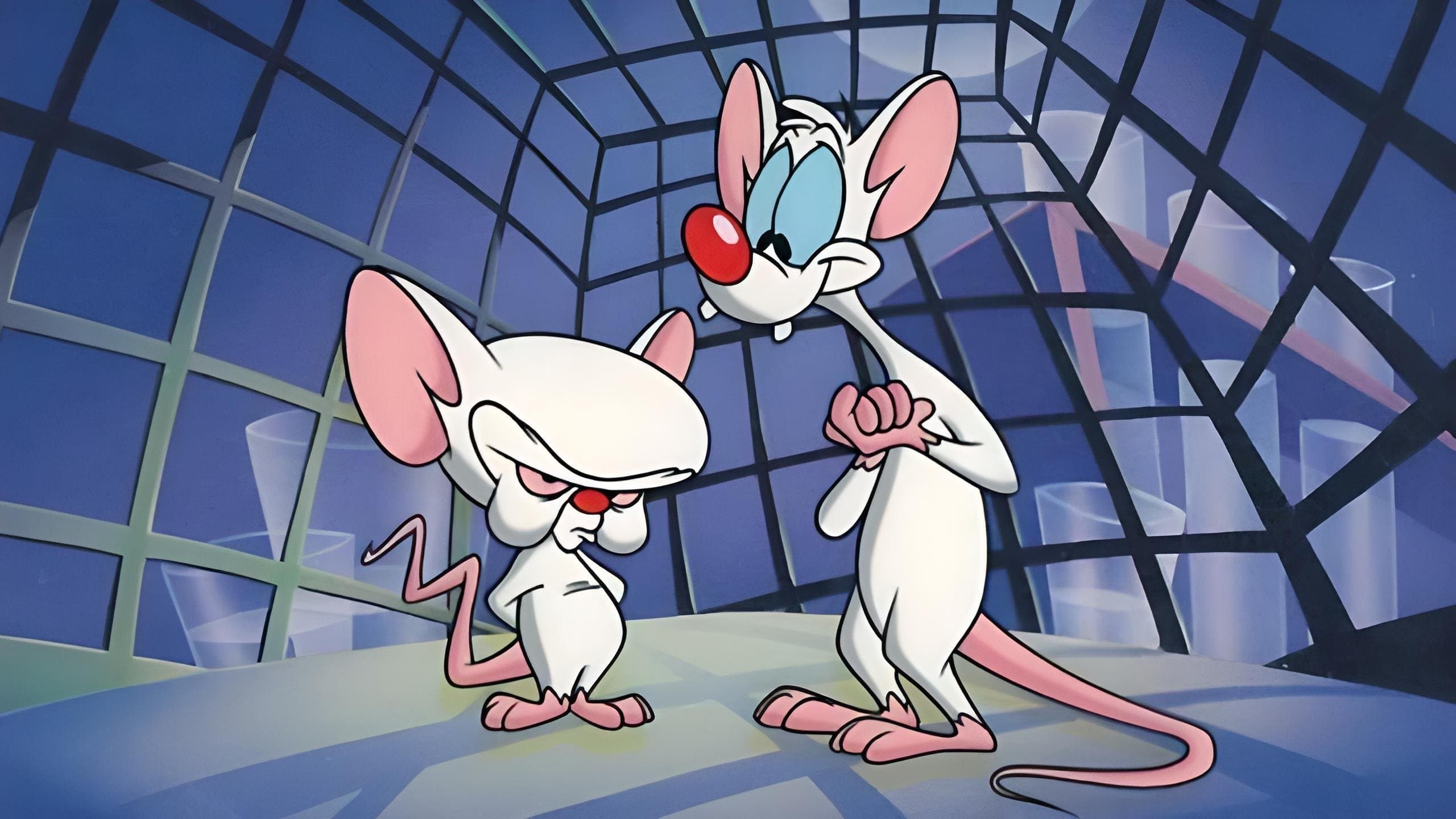 Pinky e o Cérebro