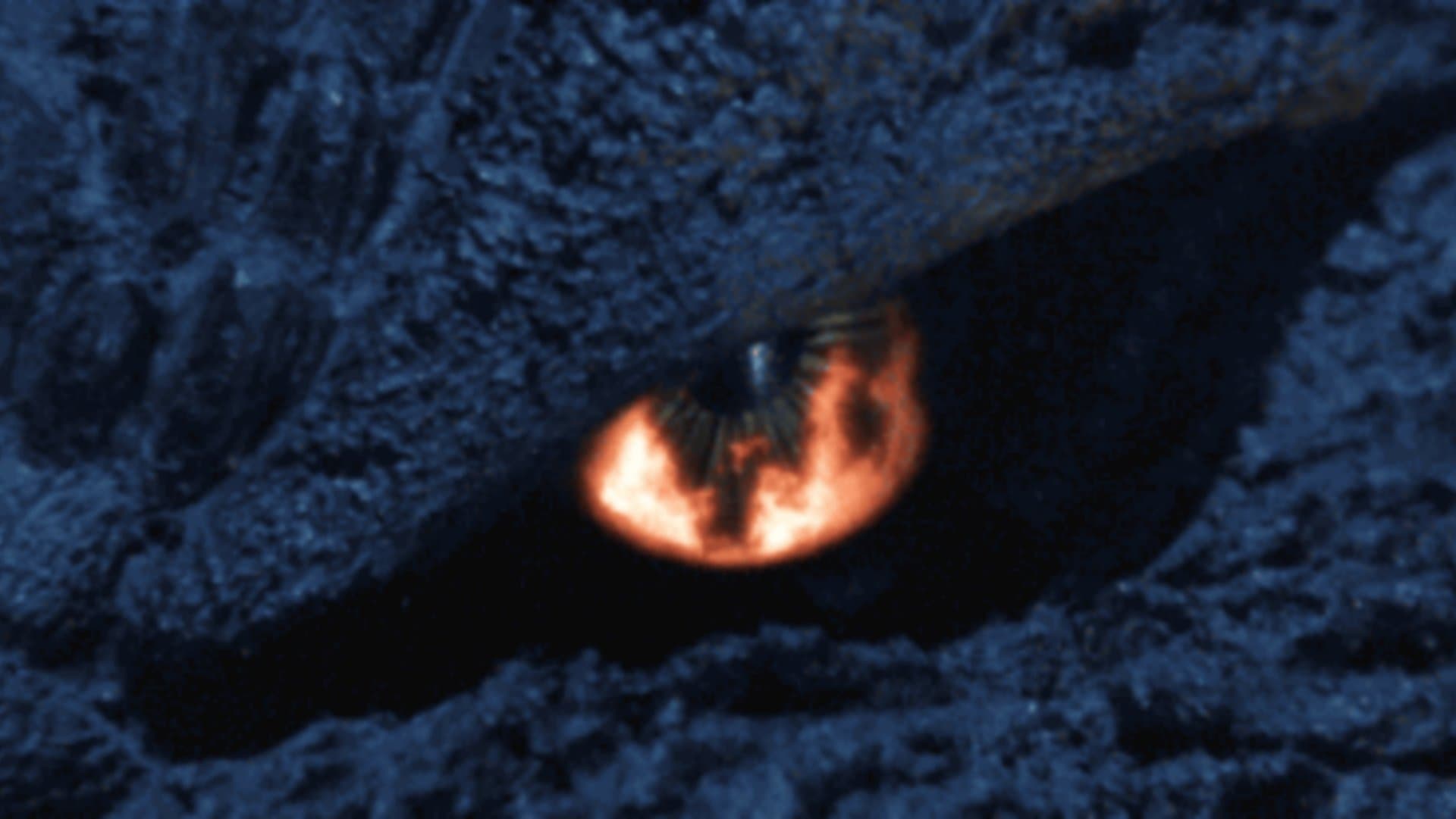 Godzilla: Batalha final