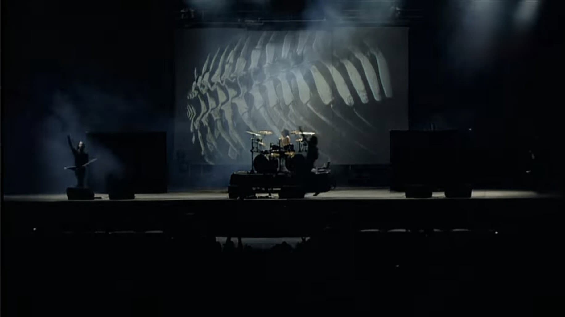 Gojira: Live at Les Vieilles Charrues 2010