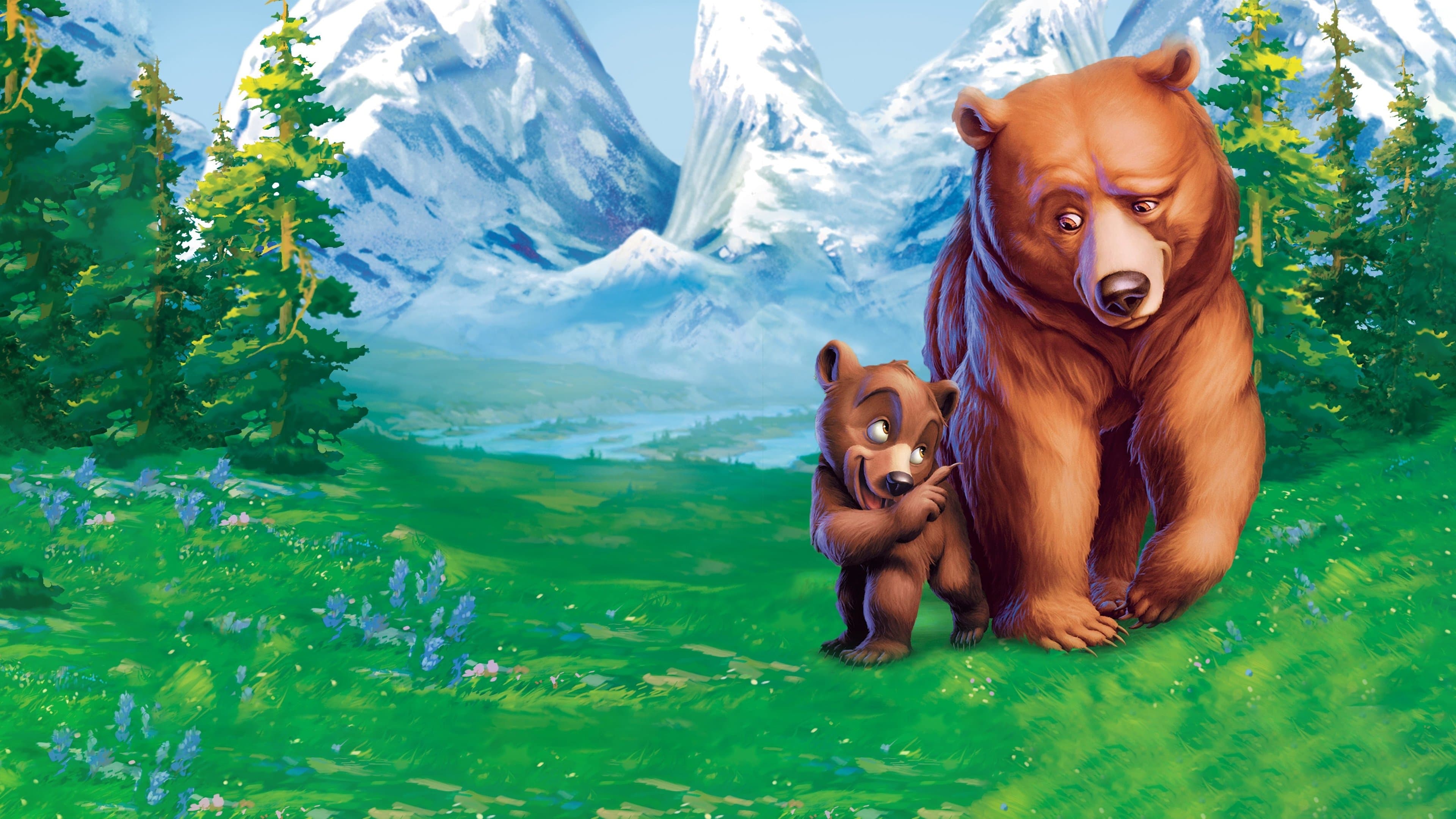 Irmão Urso