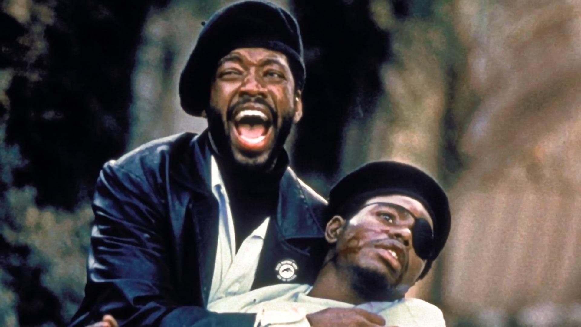 Panteras Negras