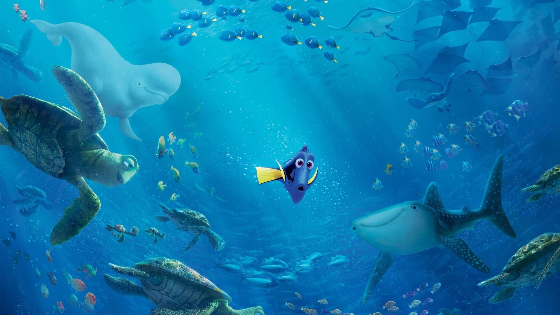 Procurando Dory
