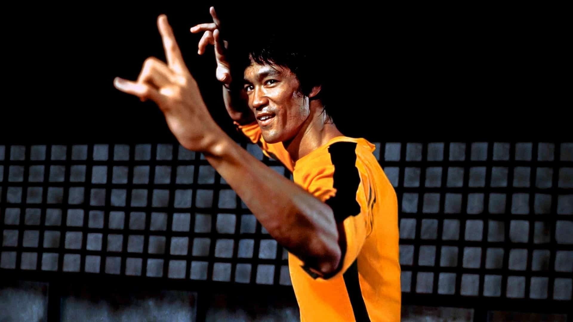 Luzes, Câmera, Kung Fu