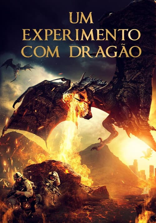 Um Experimento Com Dragão
