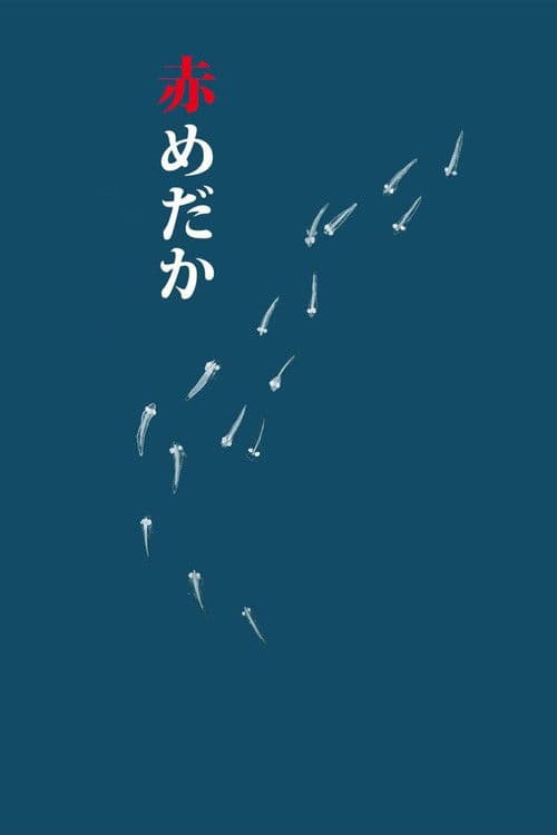 赤めだか